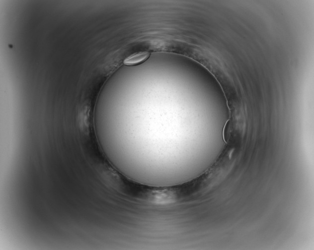 X0000098110275200804111101