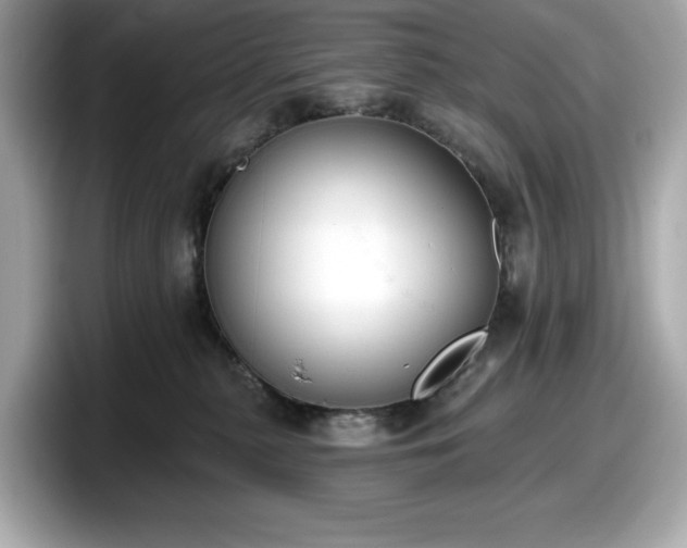 X0000098110279200804111101