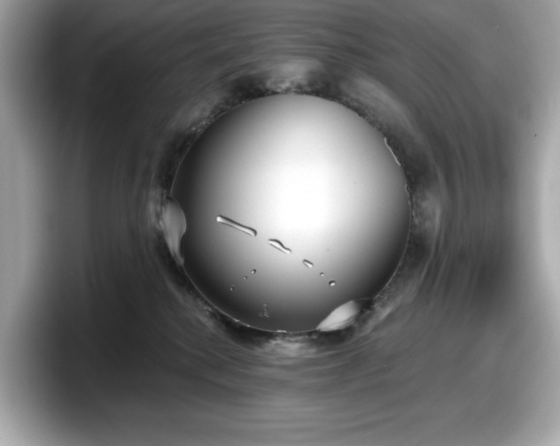 X0000098110280200804111101