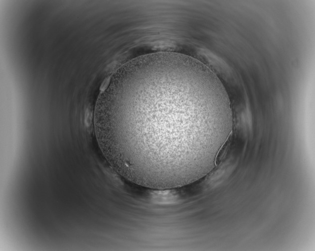 X0000098110281200804111101