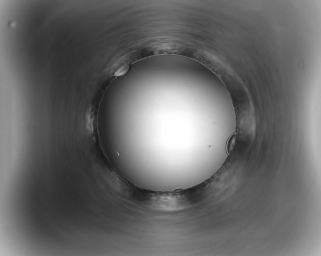 X0000098110282200804111101