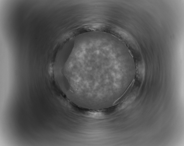 X0000098110284200804111101