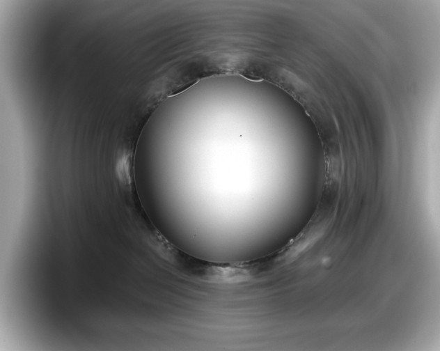 X0000098110286200804111101