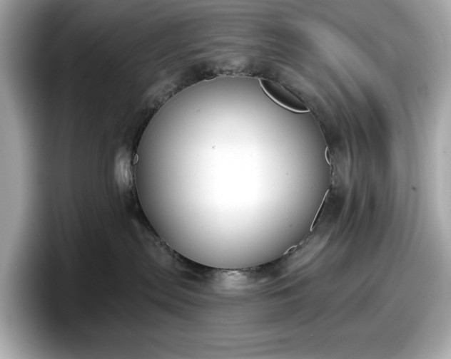 X0000098110287200804111101