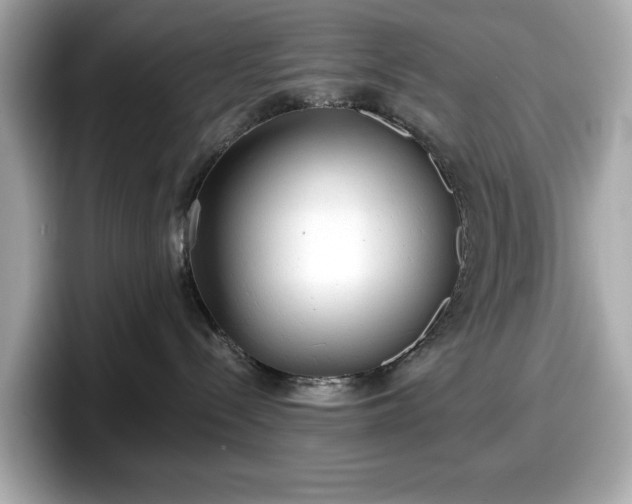 X0000098110288200804111101