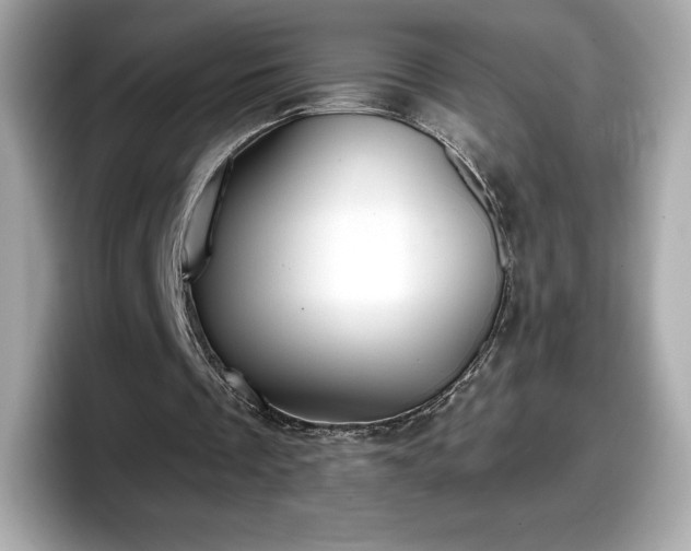 X0000098110289200804111101