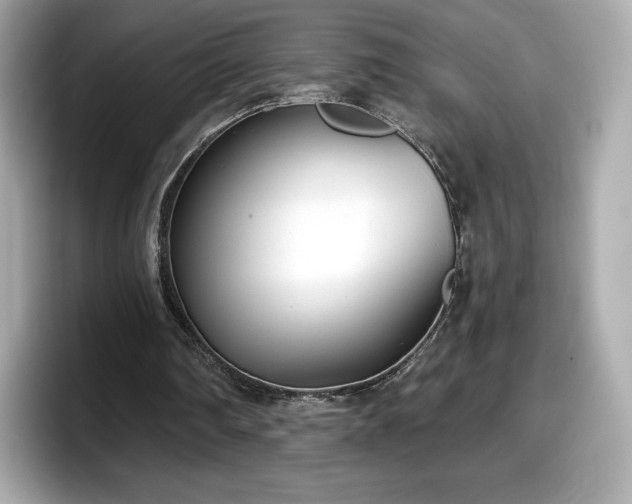 X0000098110290200804111101