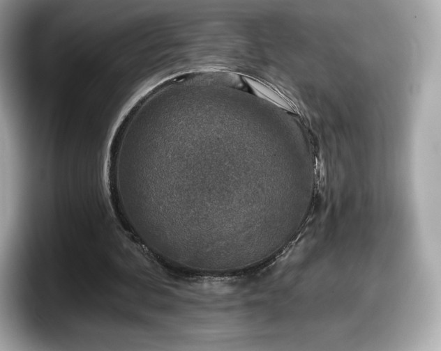 X0000098110292200804111101