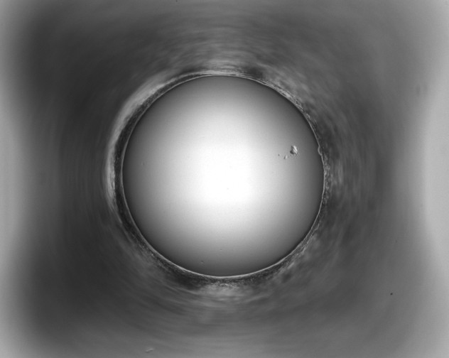 X0000098110294200804111101