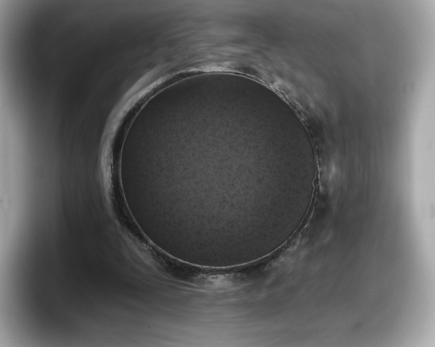 X0000098110295200804111100