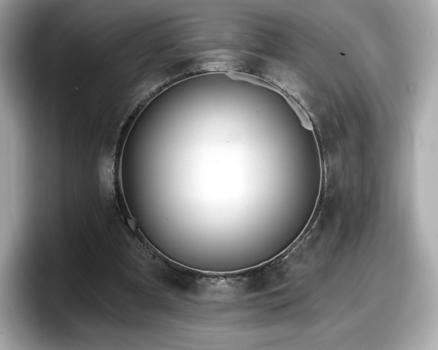 X0000098110297200804111100