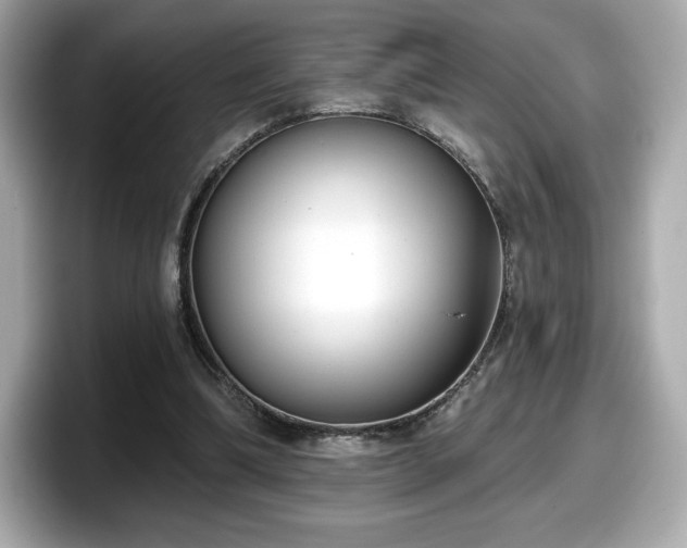 X0000098110298200804111100