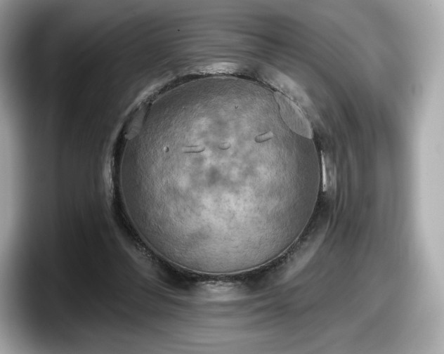 X0000098110300200804111100