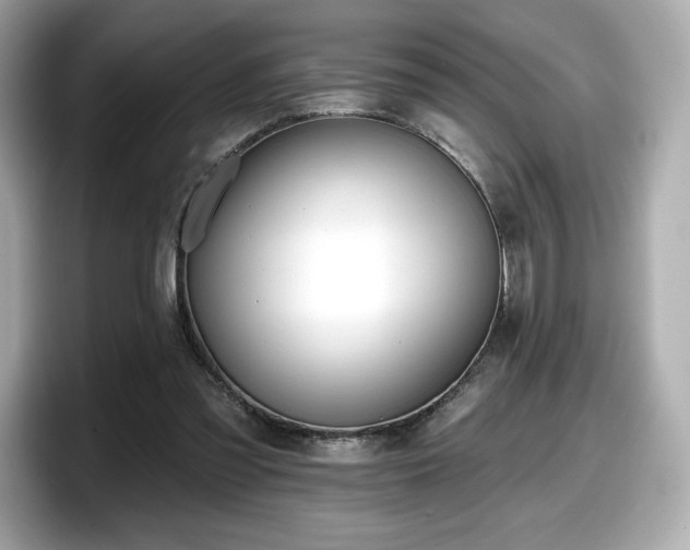X0000098110301200804111100
