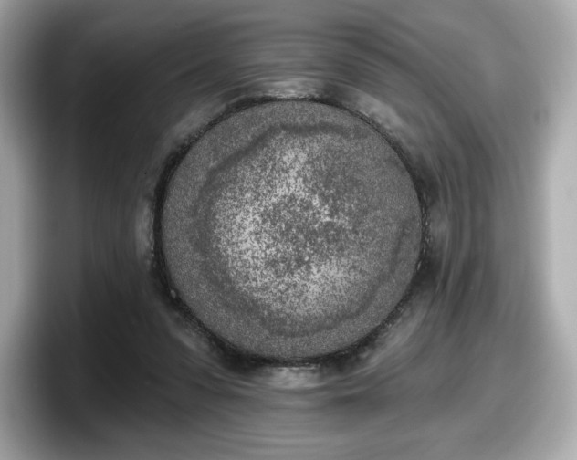 X0000098110303200804111100
