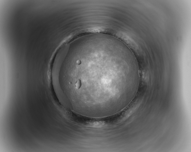 X0000098110304200804111100