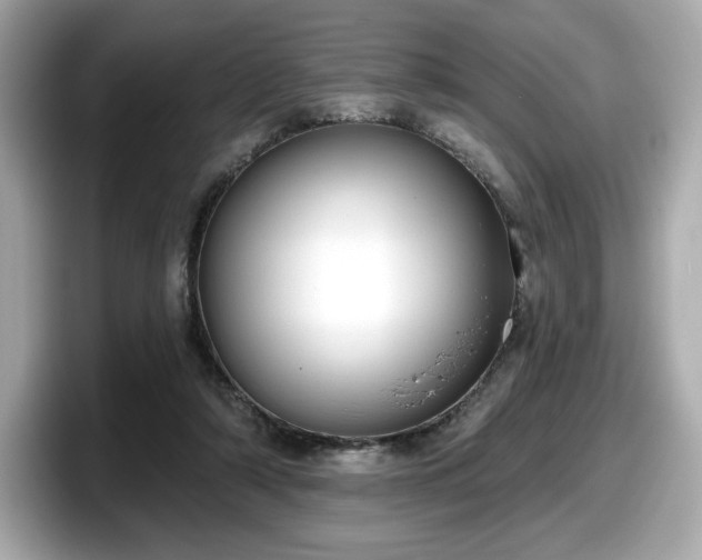 X0000098110306200804111100