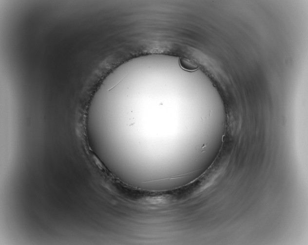 X0000098110307200804111100