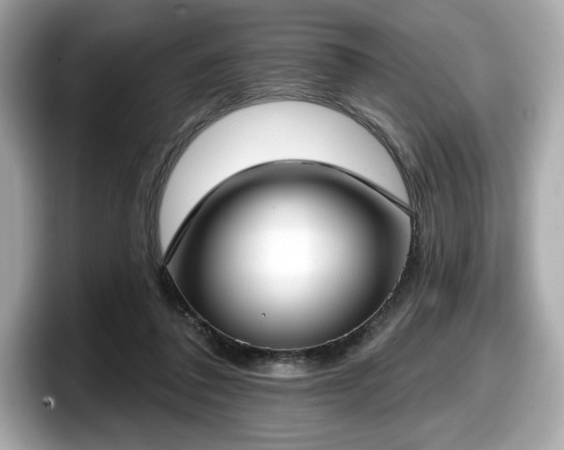 X0000098110308200804111100