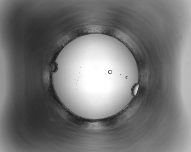 X0000098110309200804111100