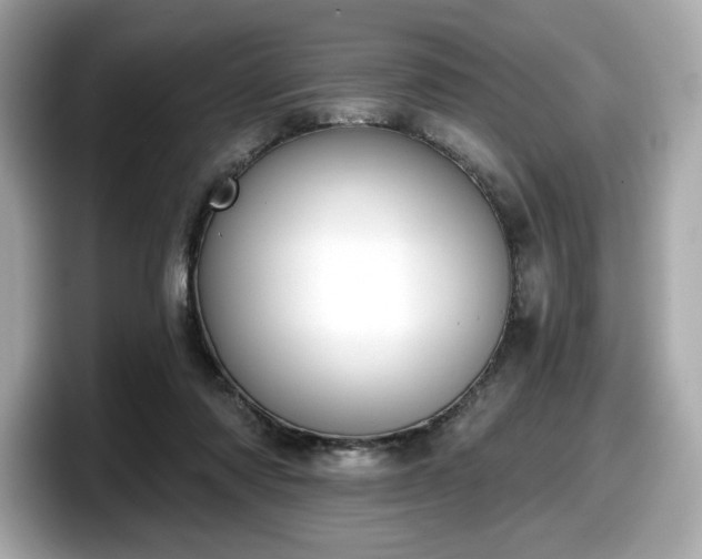 X0000098110310200804111100