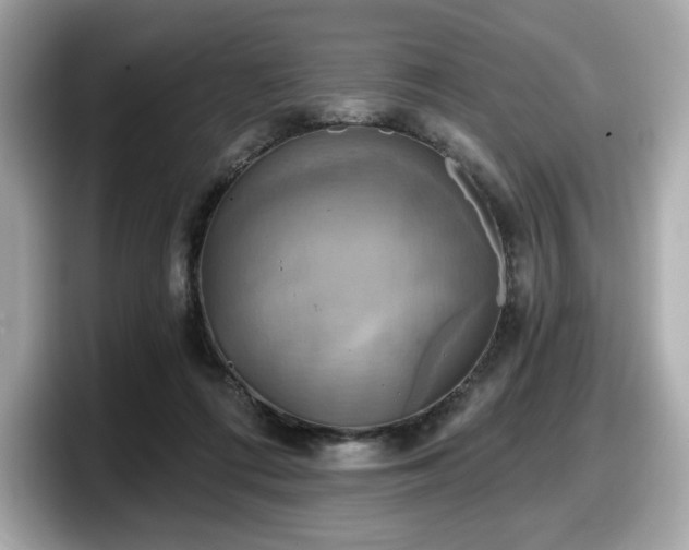 X0000098110312200804111100