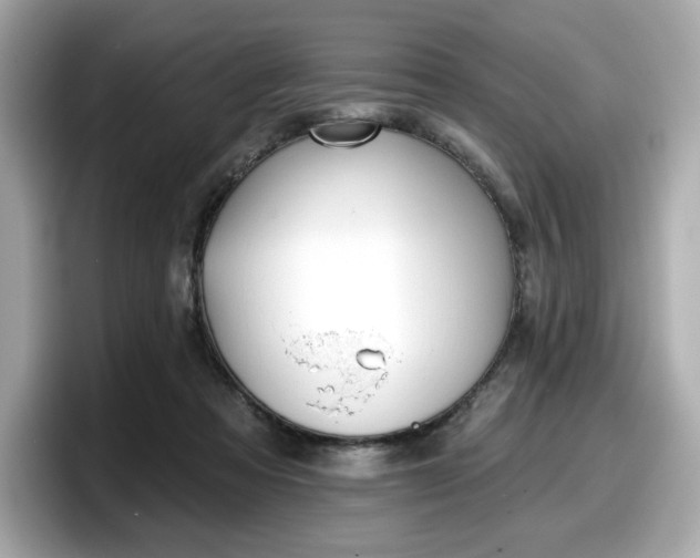 X0000098110313200804111100