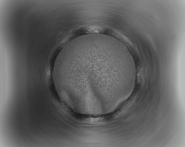 X0000098110314200804111100