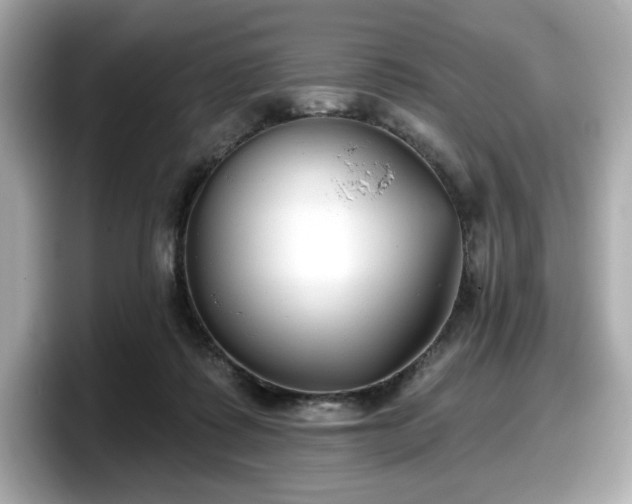 X0000098110315200804111100
