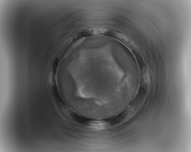 X0000098110316200804111100