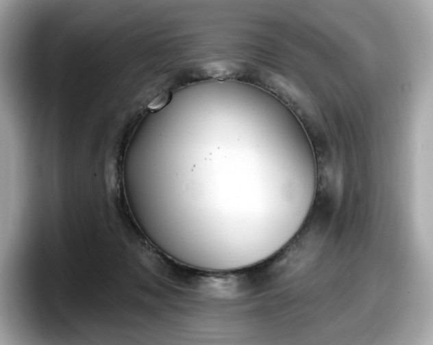 X0000098110317200804111100