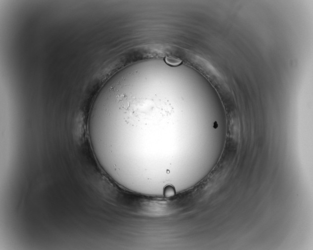 X0000098110318200804111100