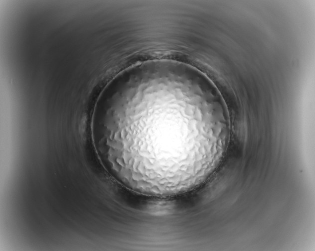 X0000098110319200804111100