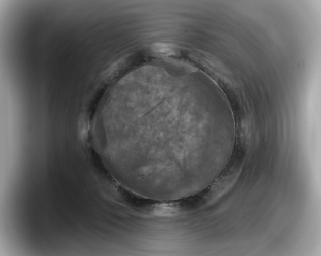 X0000098110320200804111100