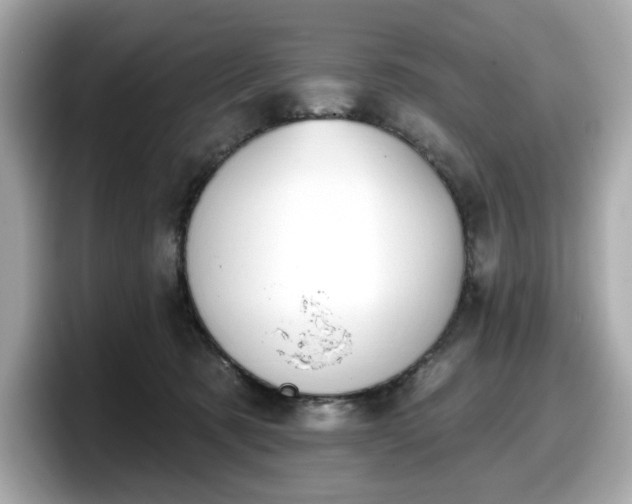 X0000098110321200804111100