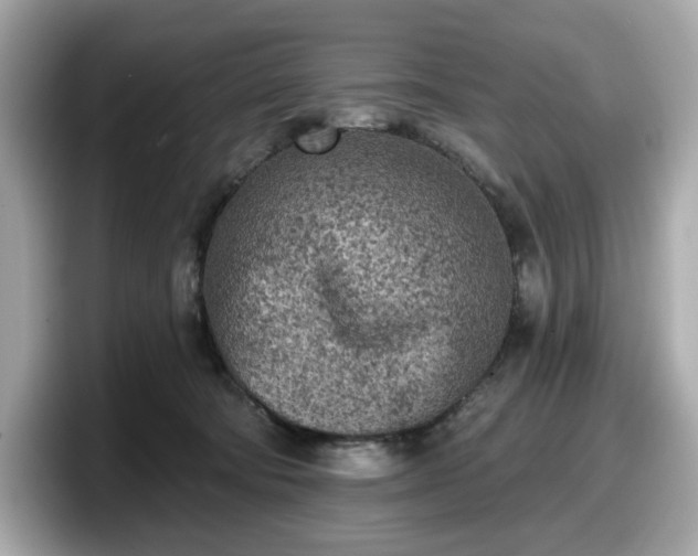 X0000098110322200804111100