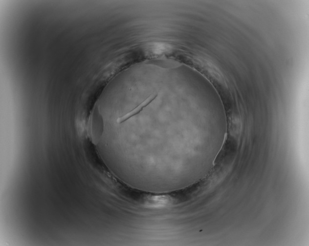 X0000098110324200804111100