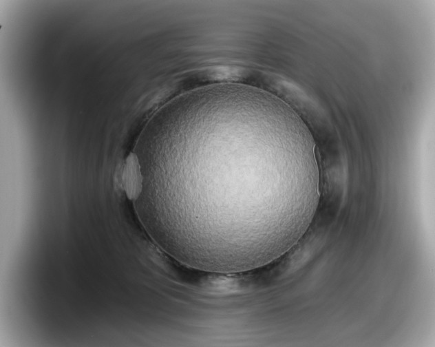 X0000098110325200804111100