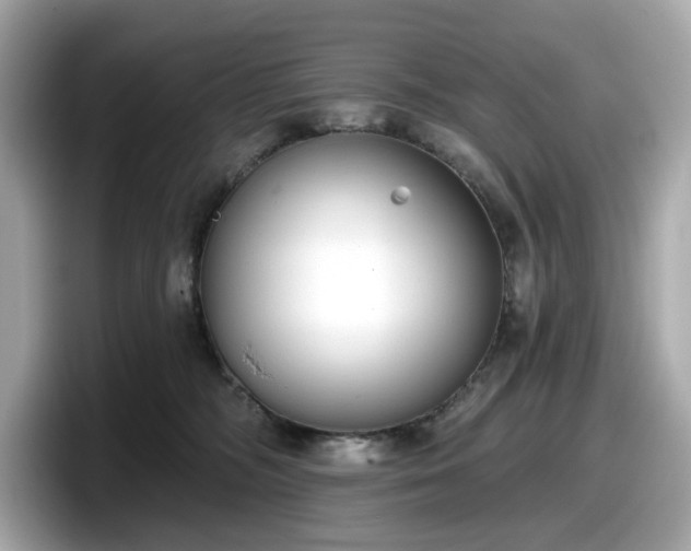 X0000098110326200804111100