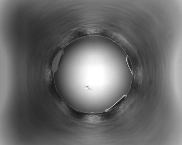 X0000098110327200804111100