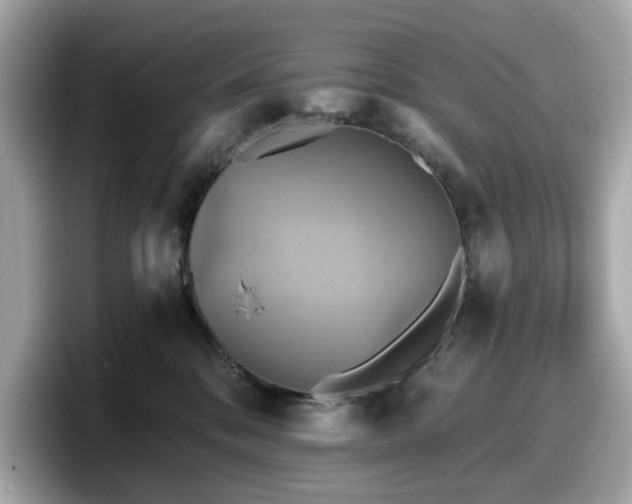 X0000098110328200804111100
