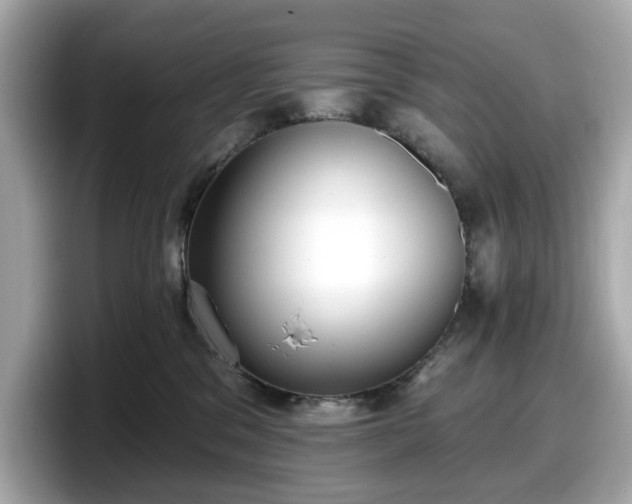 X0000098110329200804111100