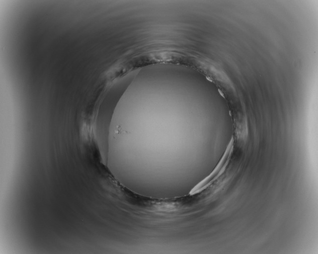 X0000098110332200804111100