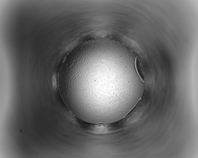 X0000098110335200804111100