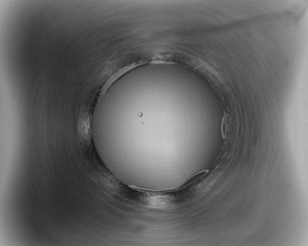 X0000098110336200804111100