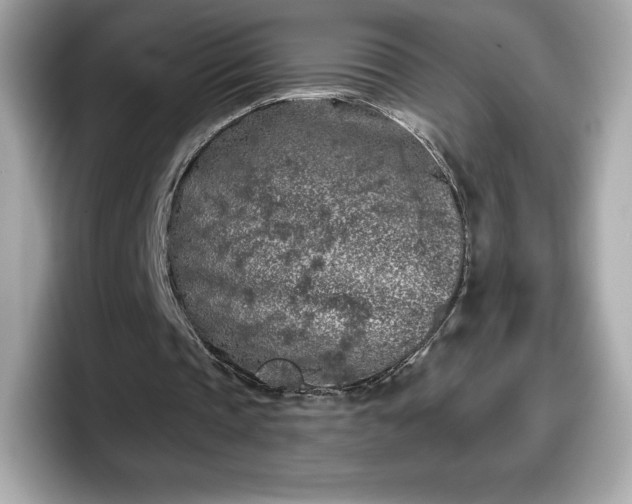 X0000098110337200804111059