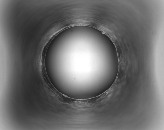 X0000098110338200804111059
