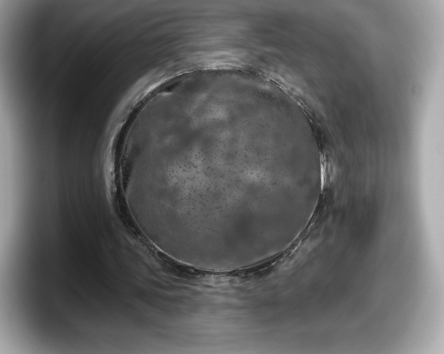 X0000098110339200804111059