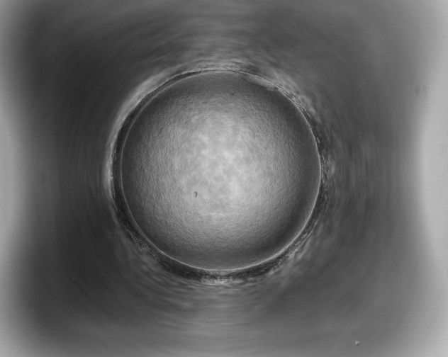 X0000098110340200804111059