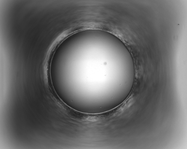 X0000098110341200804111059